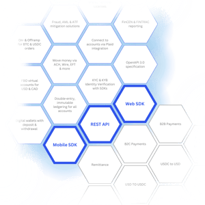 Payment API Infrastructure for Embedded Finance (1)