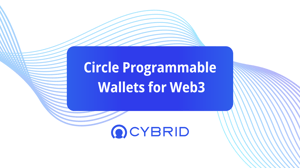 Circle programmable wallets for web3 and usdc