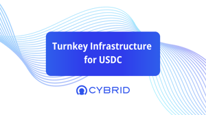 turnkey crypto infrastructure for usdc