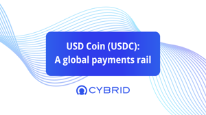 usd to usdc a global payments rail
