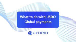 what can you do with usdc: global commerce